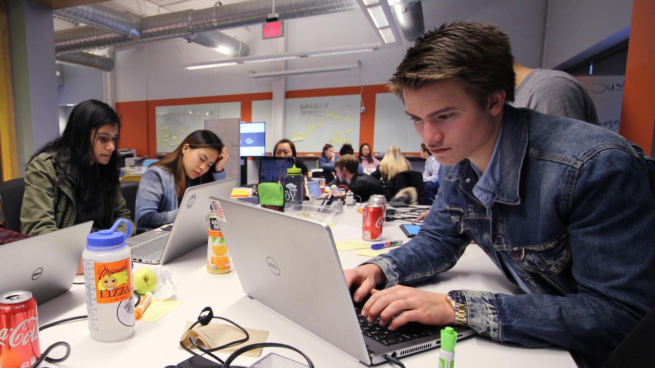 students working on laptops